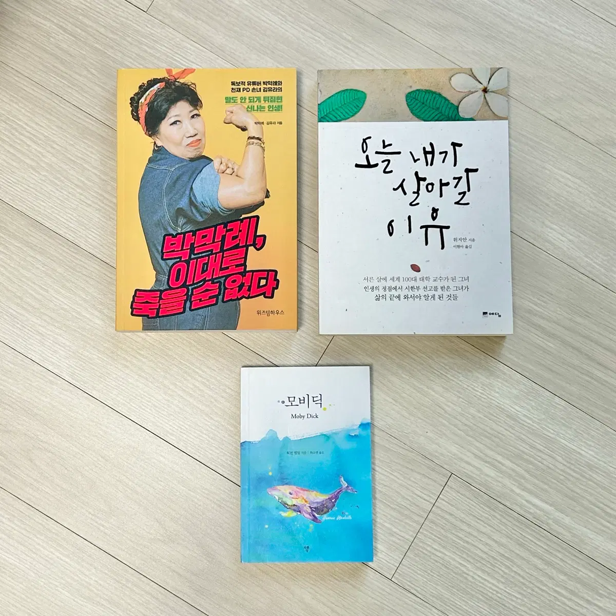 박막례 이대로 죽을 순 없다, 오늘 내가 살아갈 이유, 모비딕 도서 3종