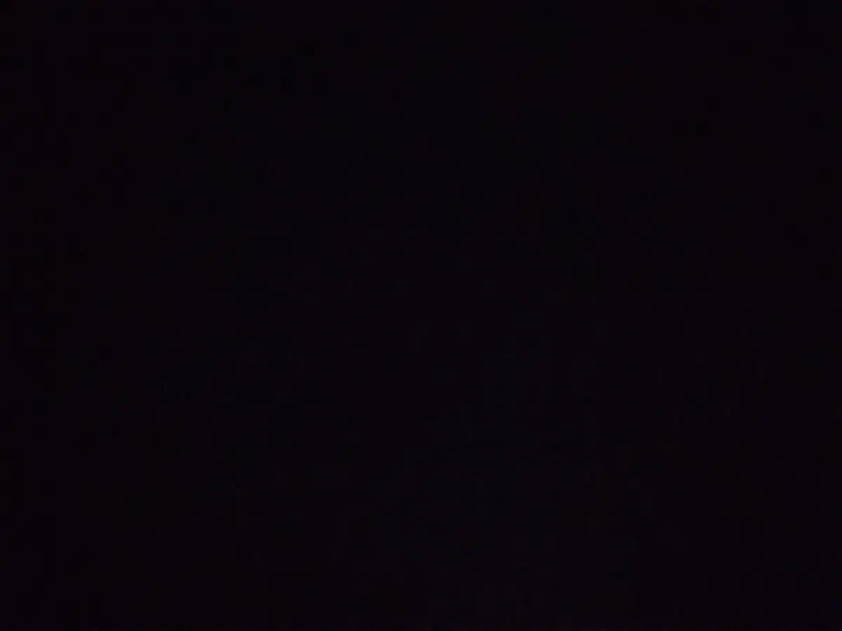 릴리에의 결심sar