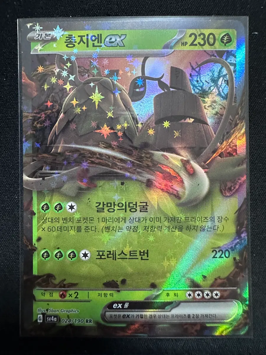 포켓몬 카드 총지엔ex RR