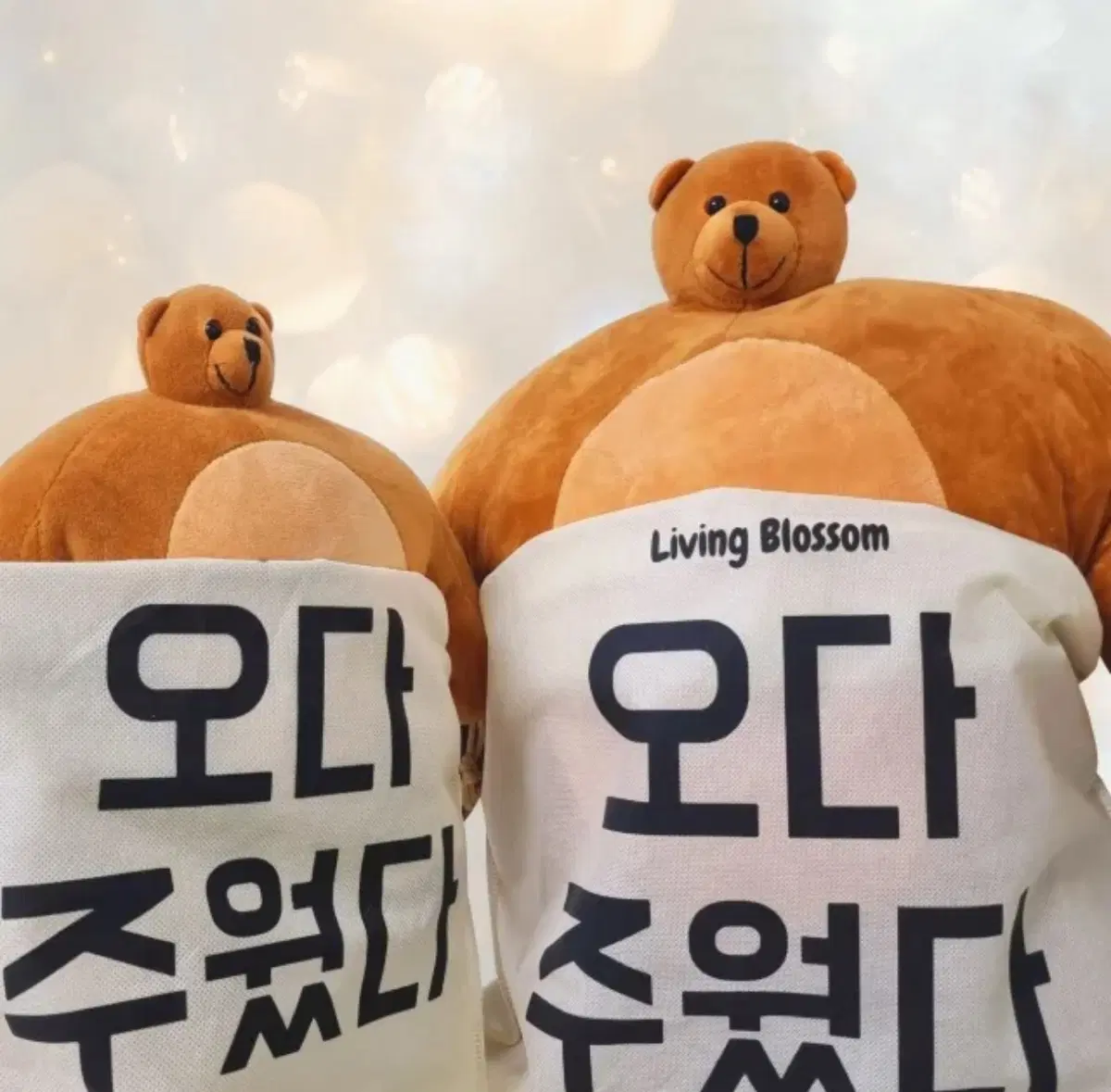 오다 주웠다 어깡 소두 곰돌이 인형