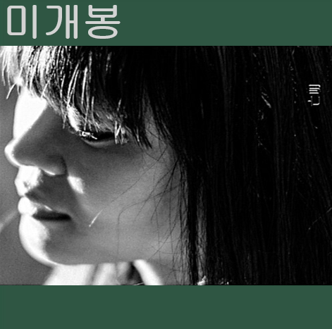 이아립 (Earip) - 망명 (미개봉, CD)
