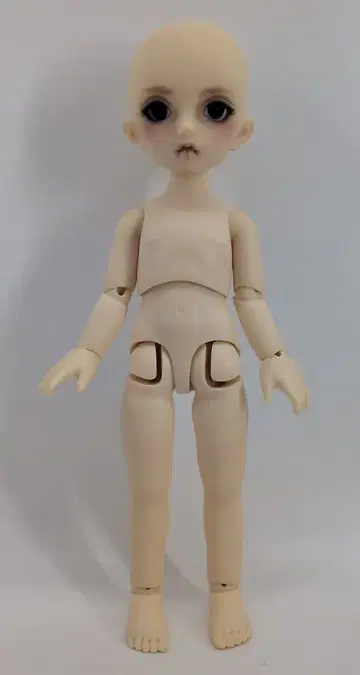 보크스 유아 SD 여아 치카 x 사이보그 003