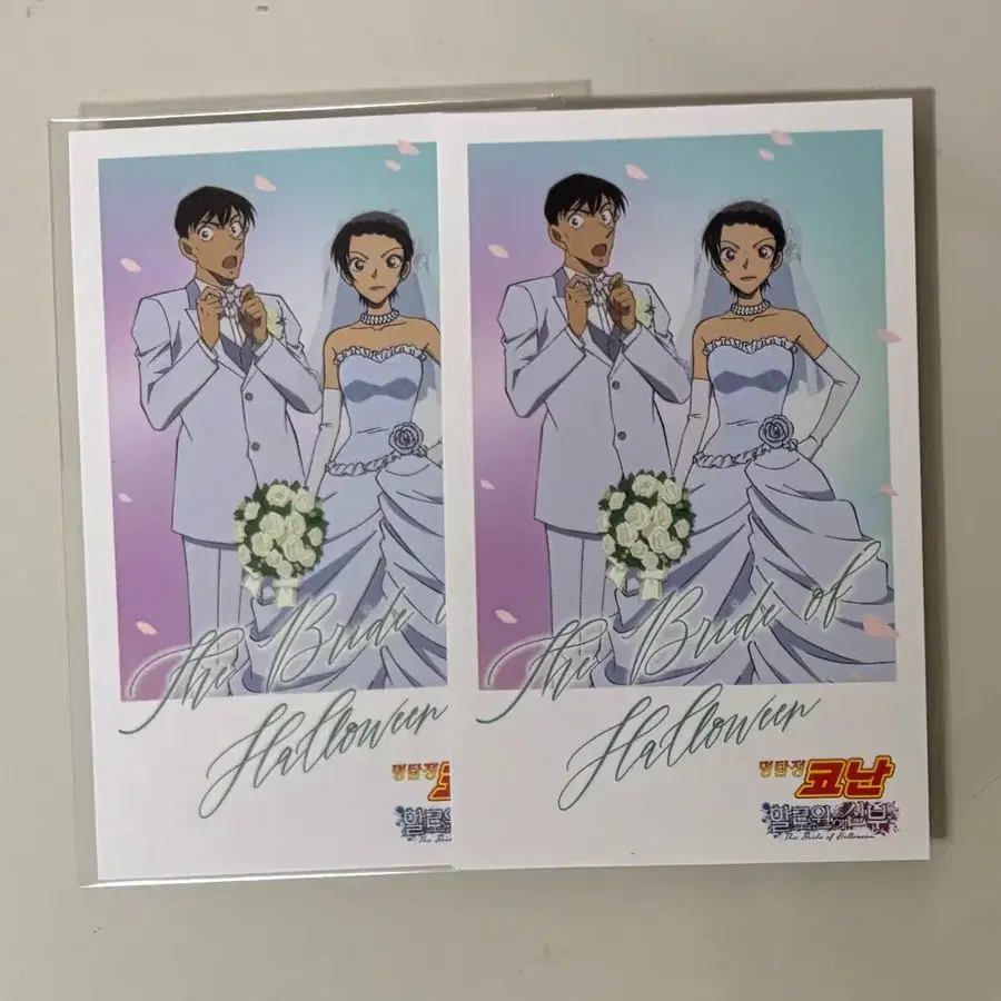 명탐정 코난 할로윈의 신부 타카기 사토 파샷츠 파샤 포카
