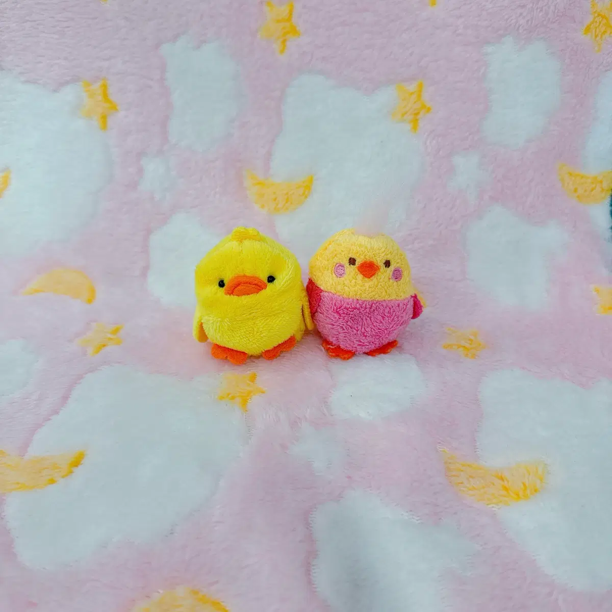 (일괄) 귀여운 똥사이즈 병아리 앵무새 인형 판매