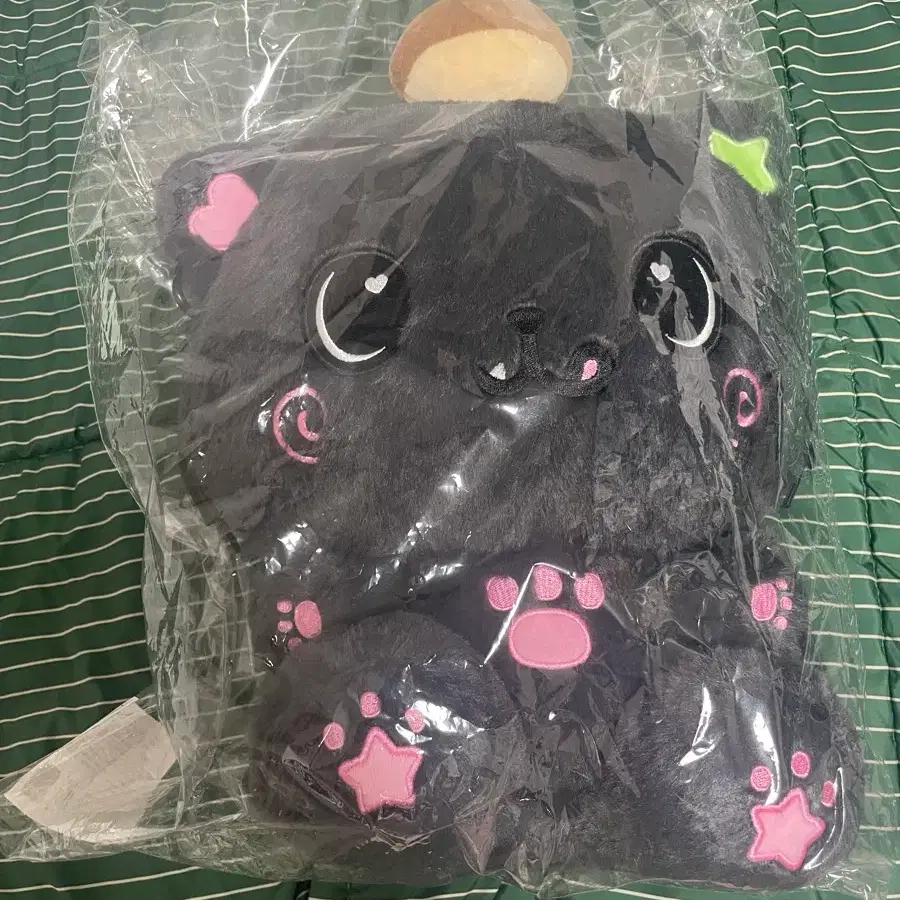 엔시티 위시 쿠리 30cm 인형 미개봉 양도