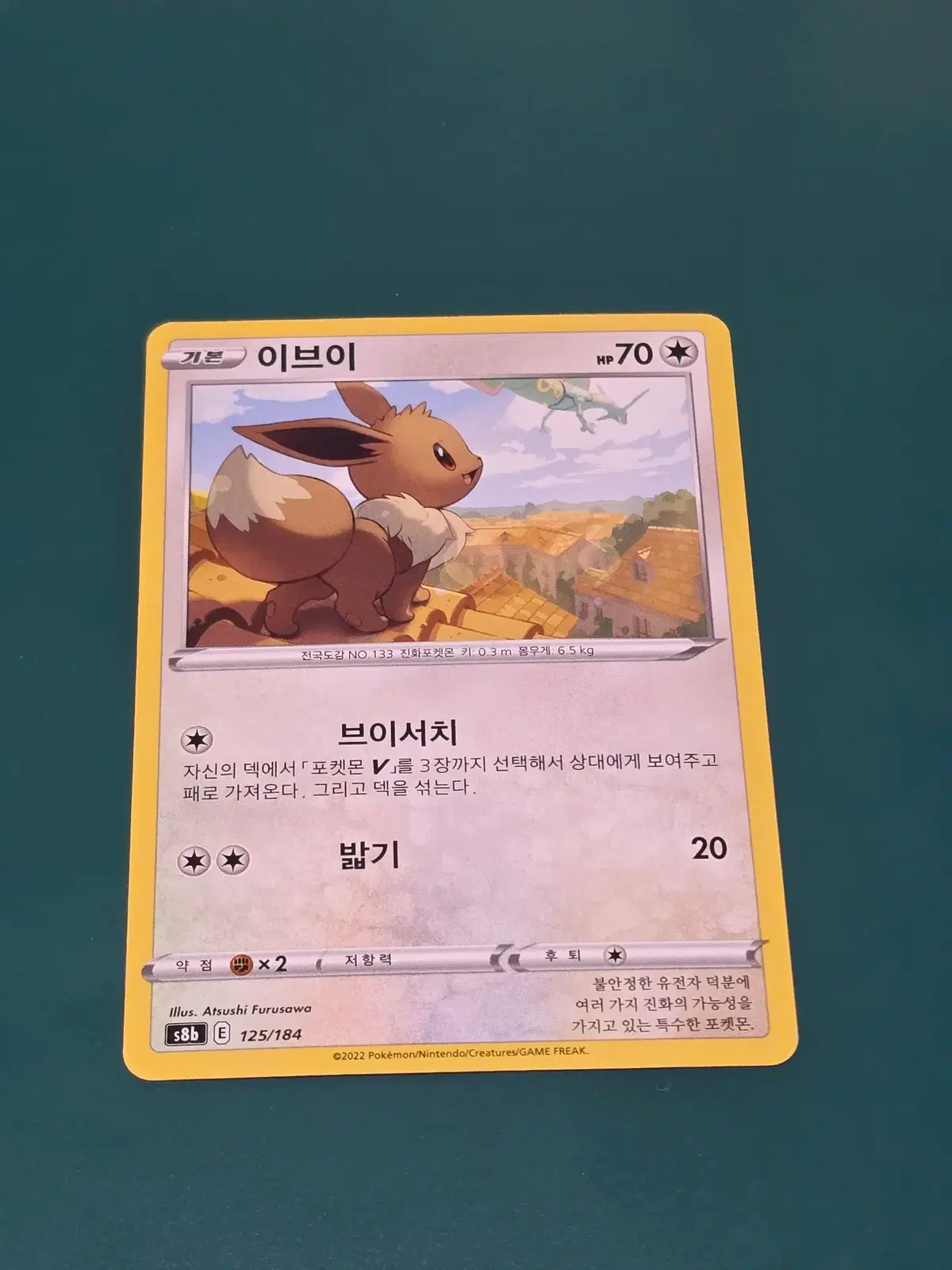 고전 이브이 포켓몬카드 125 184 s8b