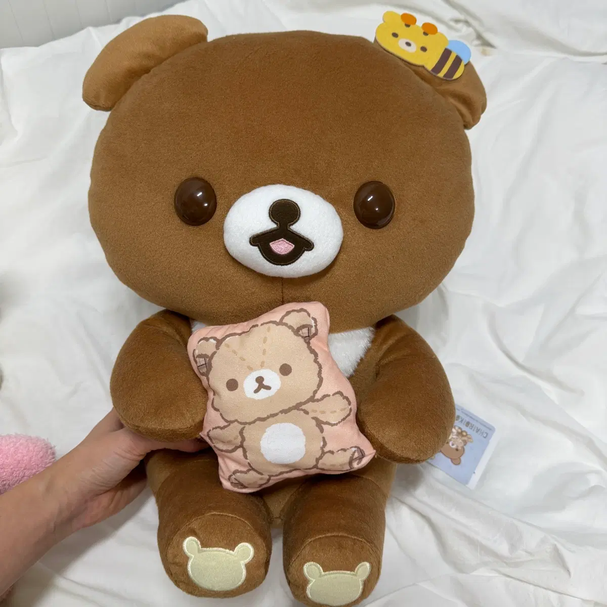 꼬옥~ 코구마 인형 / 40cm