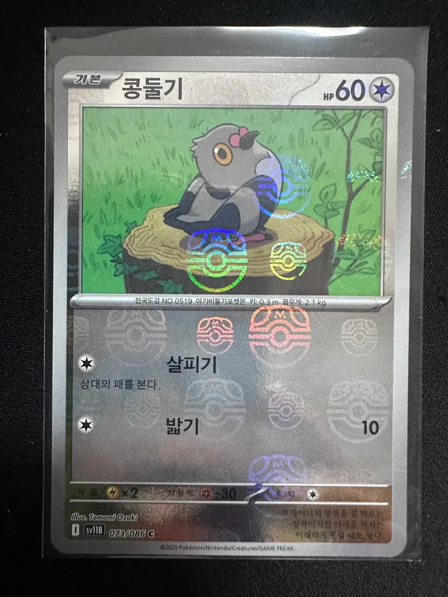 포켓몬 카드 콩둘기 마스터볼
