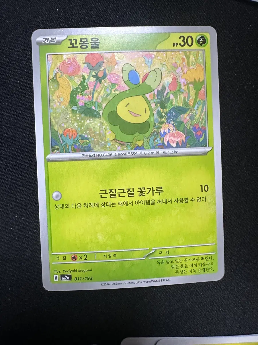 포켓몬 카드 꼬몽울 덱소스