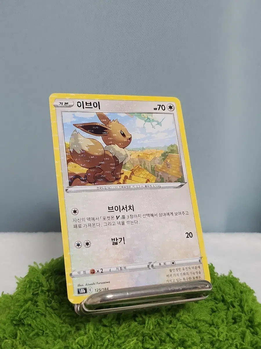 이브이 단무지 한글판 포켓몬 노말 카드 한판