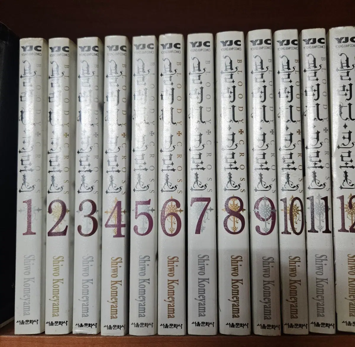블러디크로스1-12완