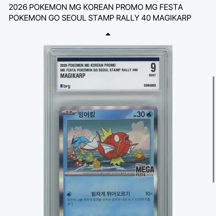 포켓몬 2026 포켓몬 메가 페스타 잉어킹 프로모 카드 brg 9