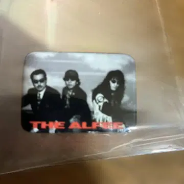 THE ALFEE 캔뱃지
