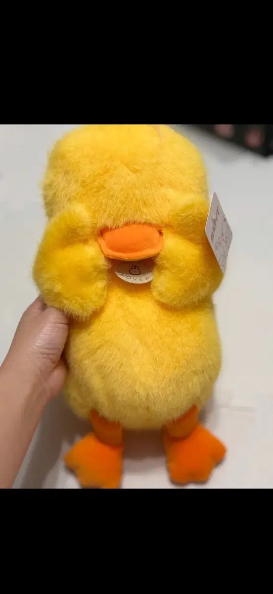 까꿍 노란오리 중형인형/