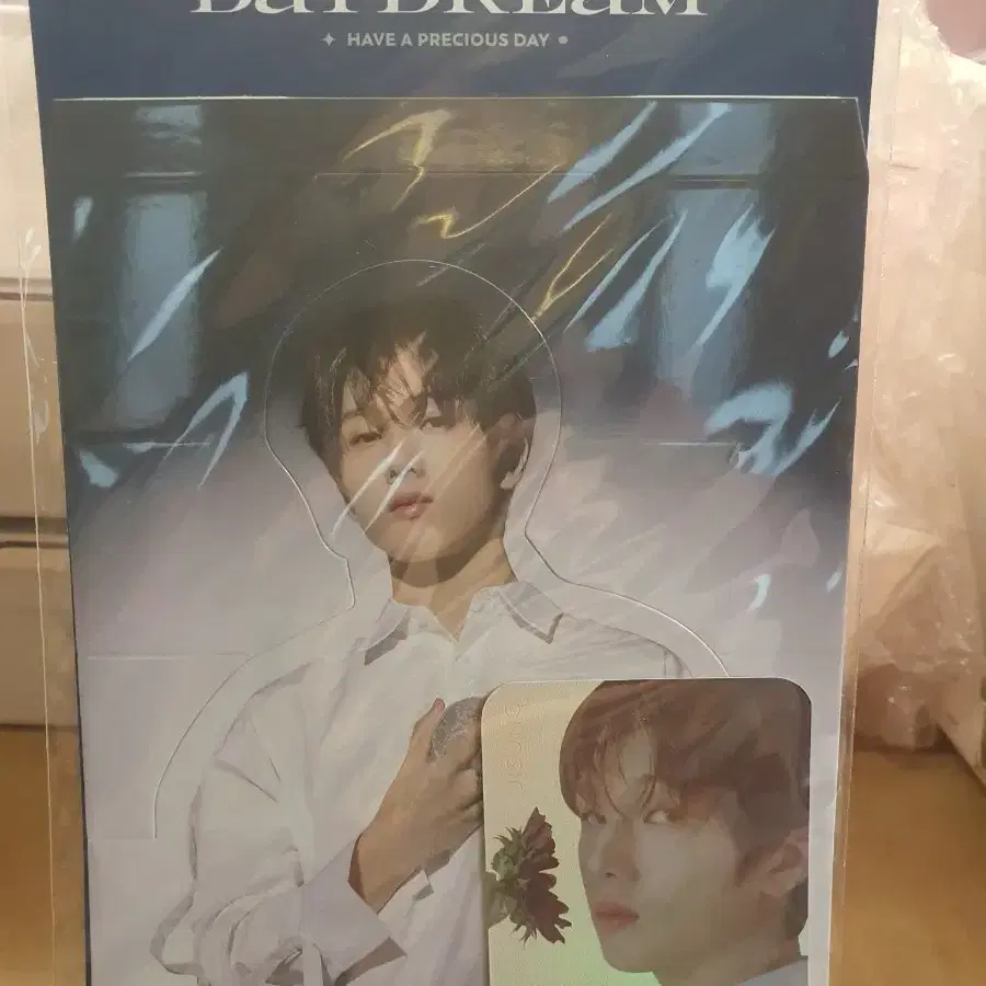 엔시티 NCT DREAM 'STARRY DAYDREAM'홀로그램 포카 세트 지성