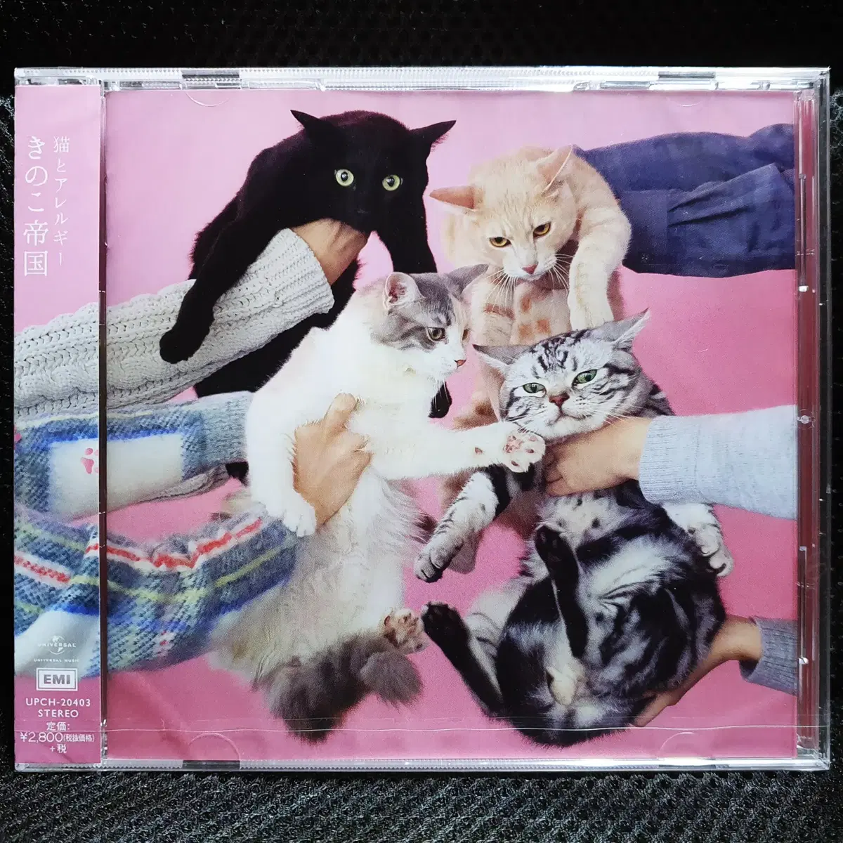 키노코테이코쿠 네코토알레르기 CD 미개봉 신품