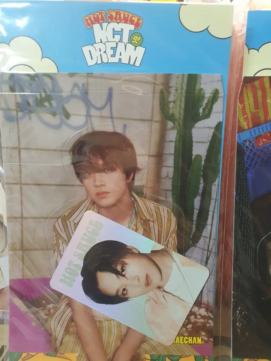 엔시티 NCT DREAM 핫소스 홀로그램 포카 세트 해찬