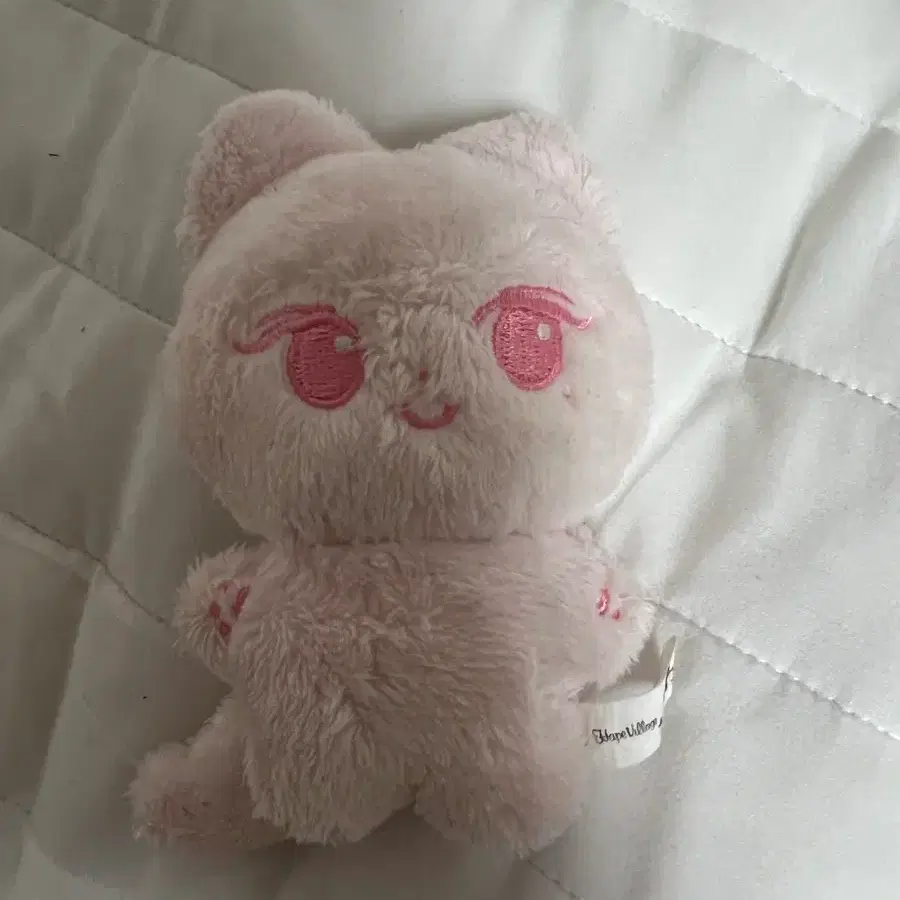 젤냥이 에스파 지젤