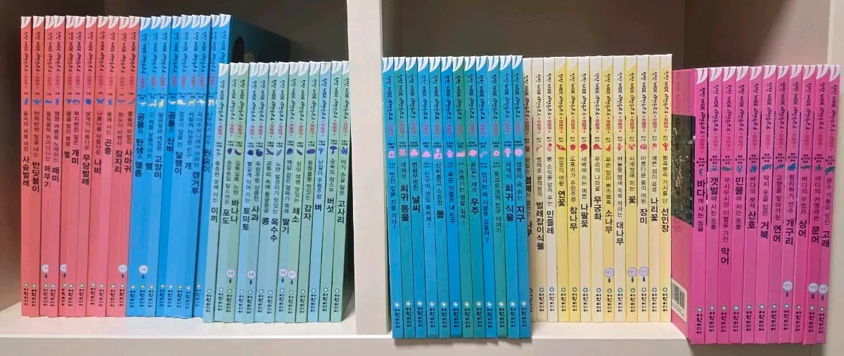탄탄 와이드 자연속으로 완결판 100권