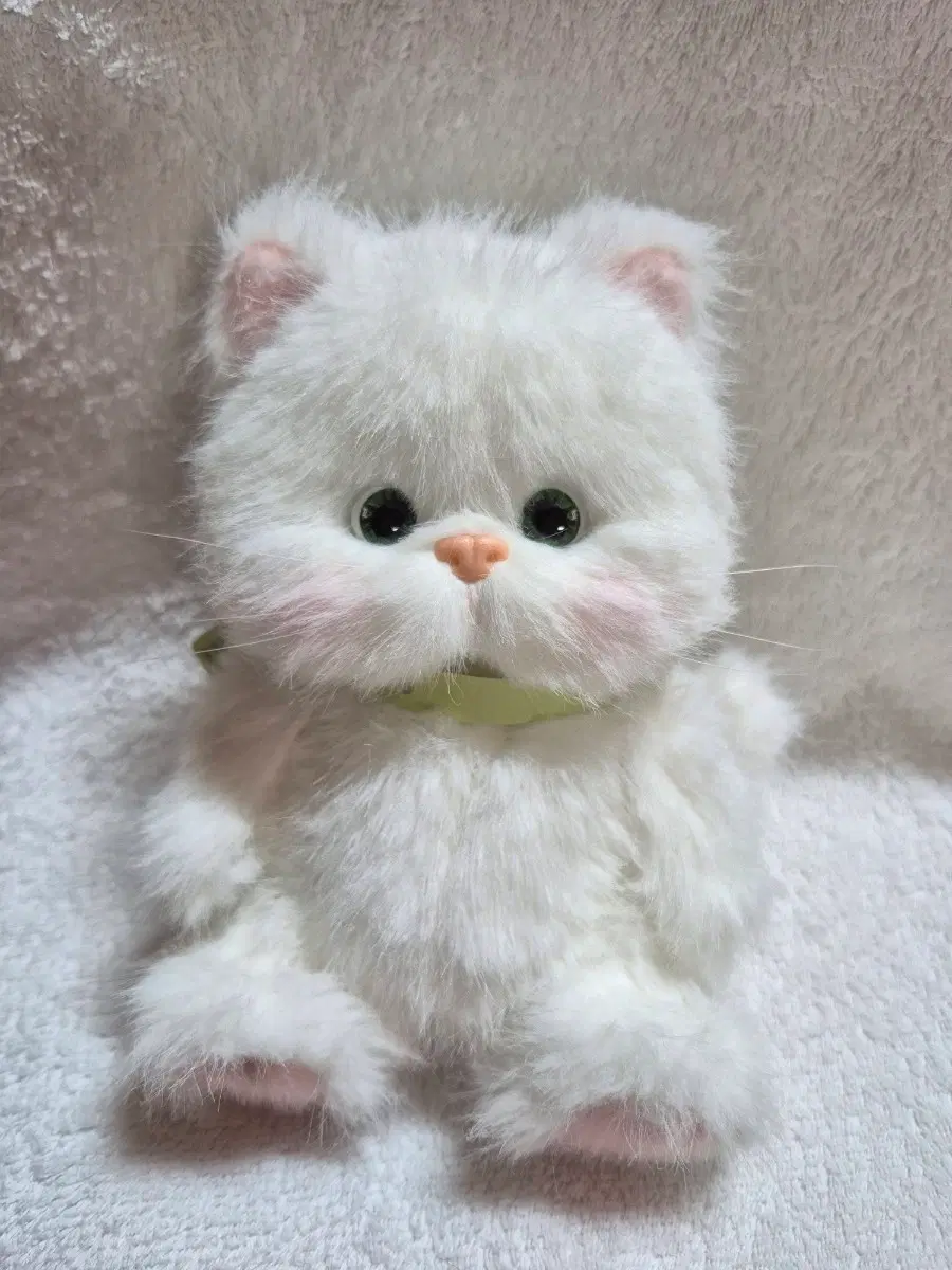 (새상품)테디테일즈 레나캣 설냥이 사이즈 20cm