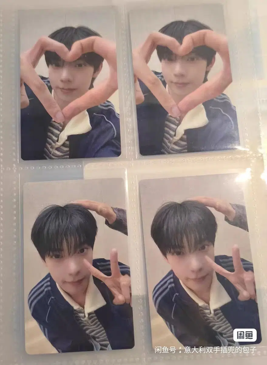 예판 최립우 일본 포카 일괄