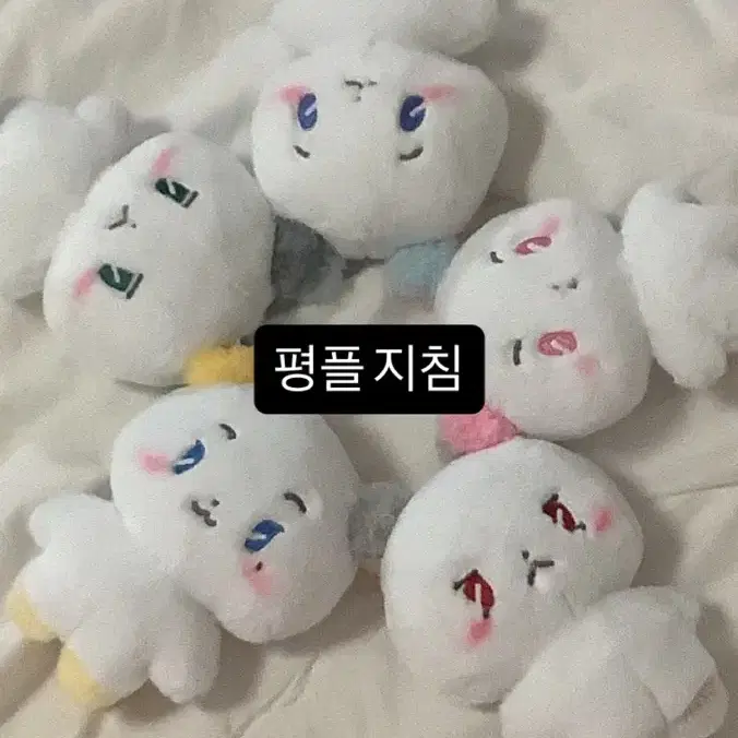 플레이브