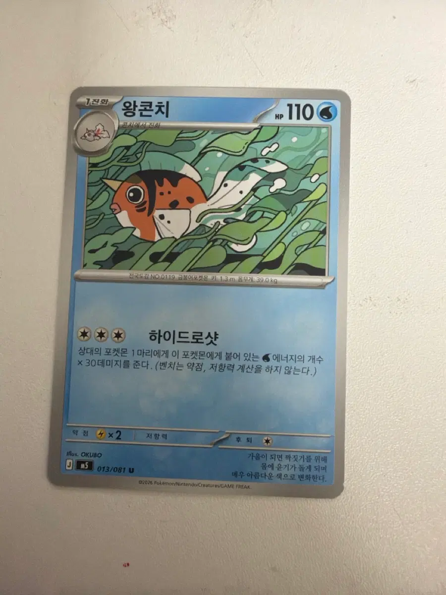 포켓몬카드 어비스아이 왕콘치