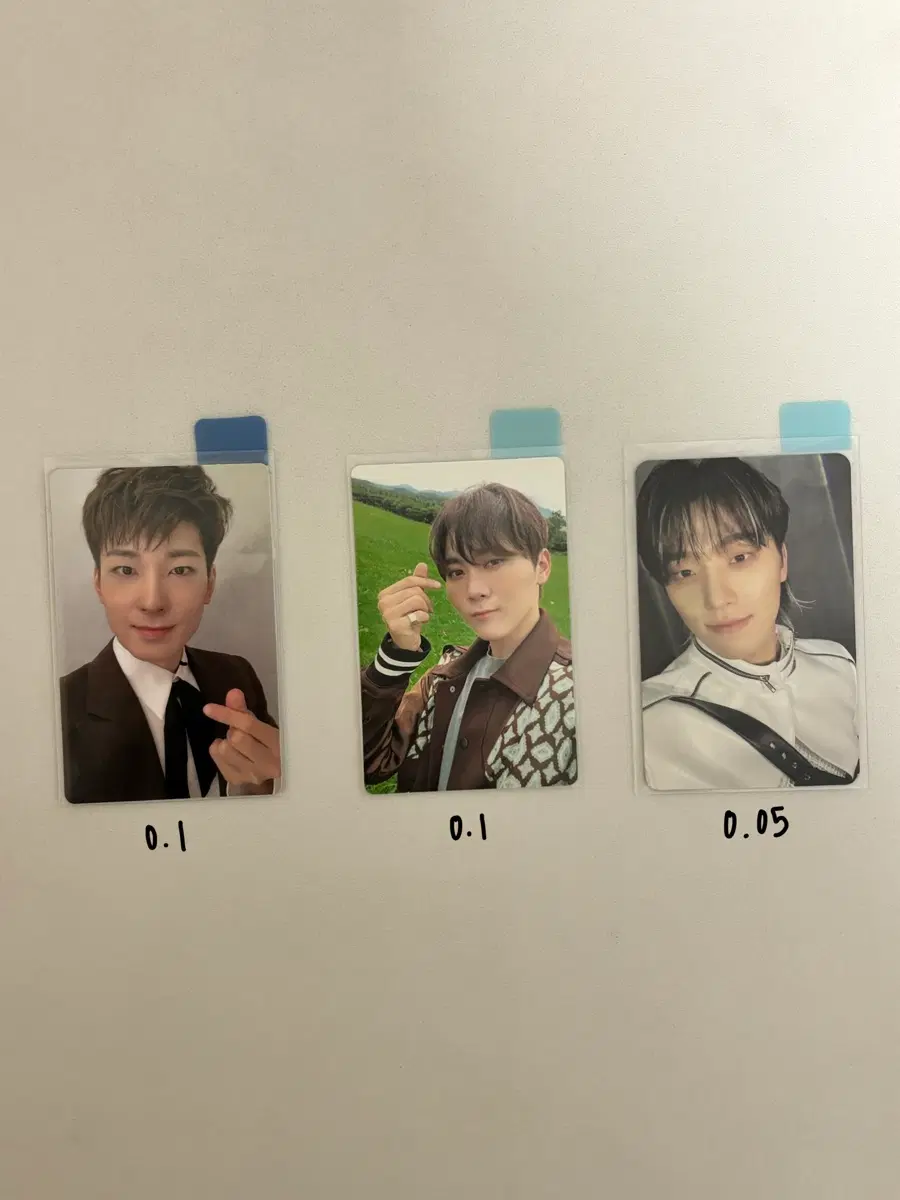 세븐틴 언오드 FML 캐럿반 섹터17 헹가래 페더썬