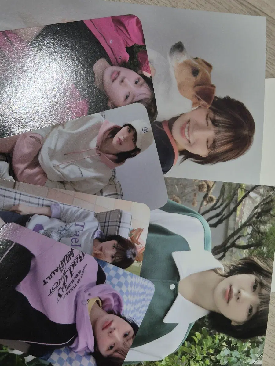 그루브 라임 웬디 엽서 포토카드 세트