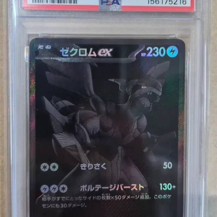 포켓몬카드 제크로무 PSA 10