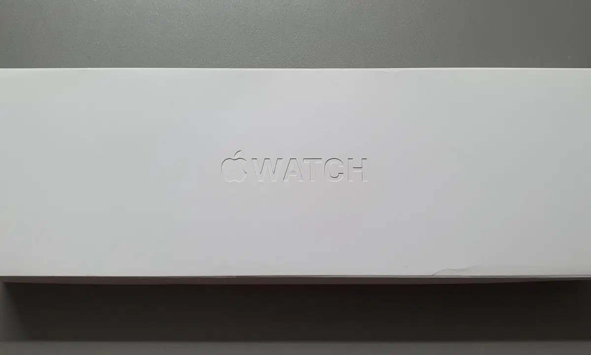 애플워치 10 46mm 셀룰러 실버