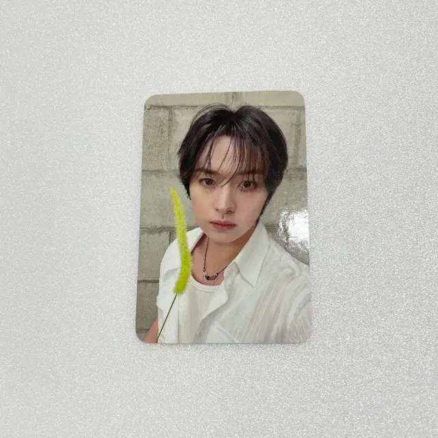 스키즈 런잇콘 디스앤댓 사운드웨이브 리노