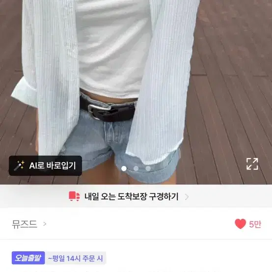 에이블리 뮤즈드 시스루 셔츠
