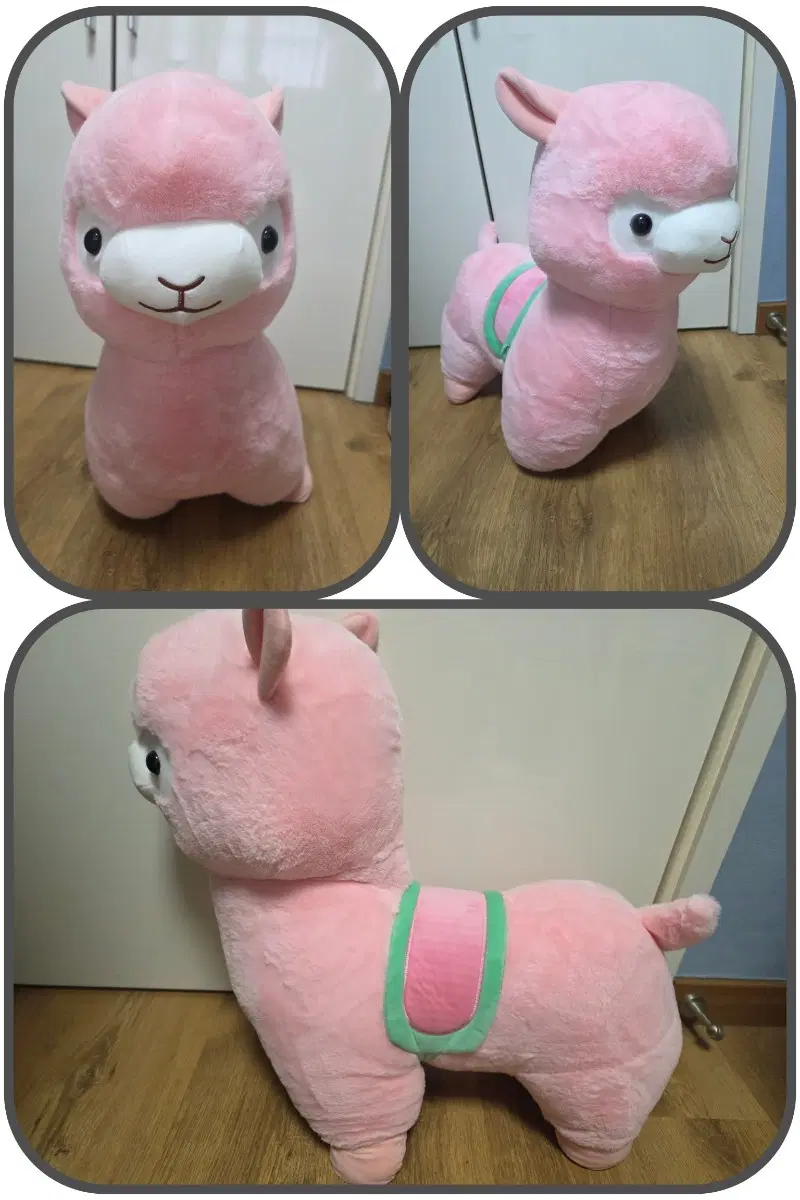 알파카 대형 인형 [57cm]