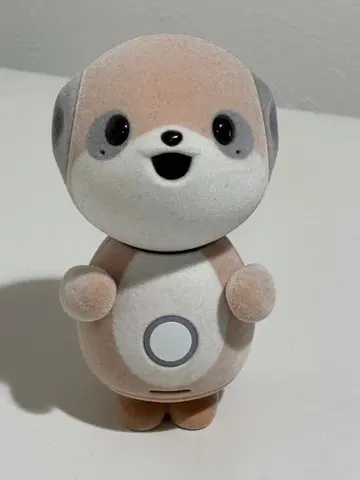 포켓몬 친구 하자 있음 덤 포함