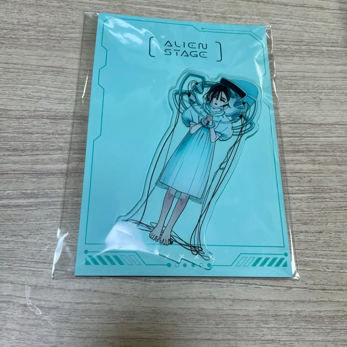 에이스테 / 에일리언 스테이지 수아 모펀 아낙트 가든 아크릴 스탠드