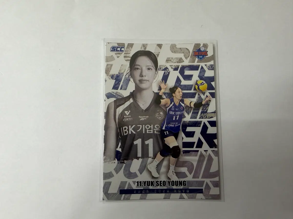 2025-26 SCC KOVO 카본 포지션 기업은행 육서영