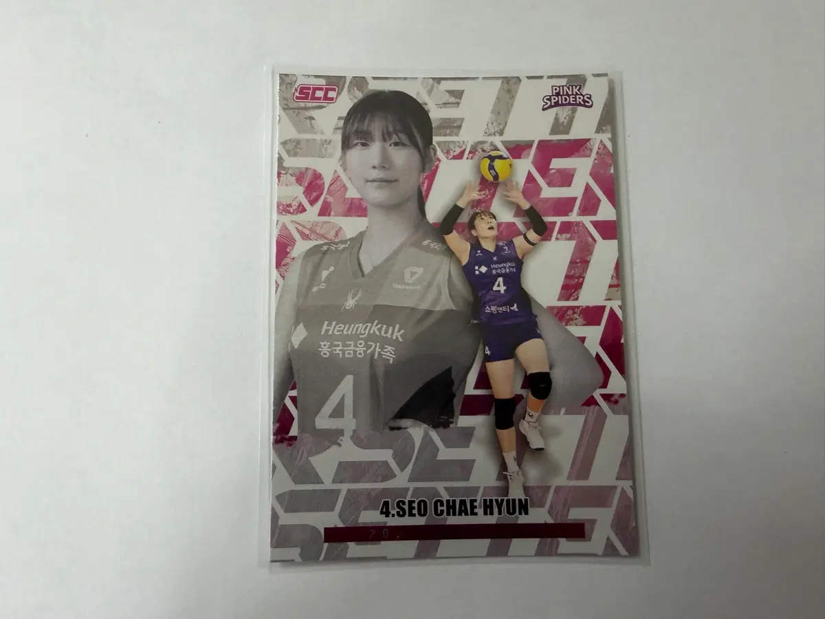 2025-26 SCC KOVO 카본 포지션 흥국생명 서채현