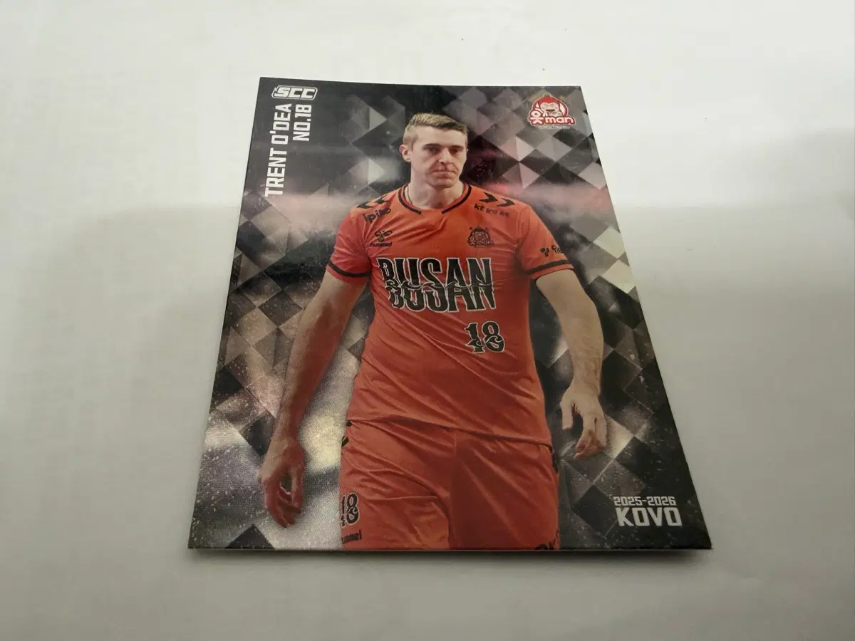 2025-26 SCC KOVO 카본 페러렐 OK금융그룹 오데이