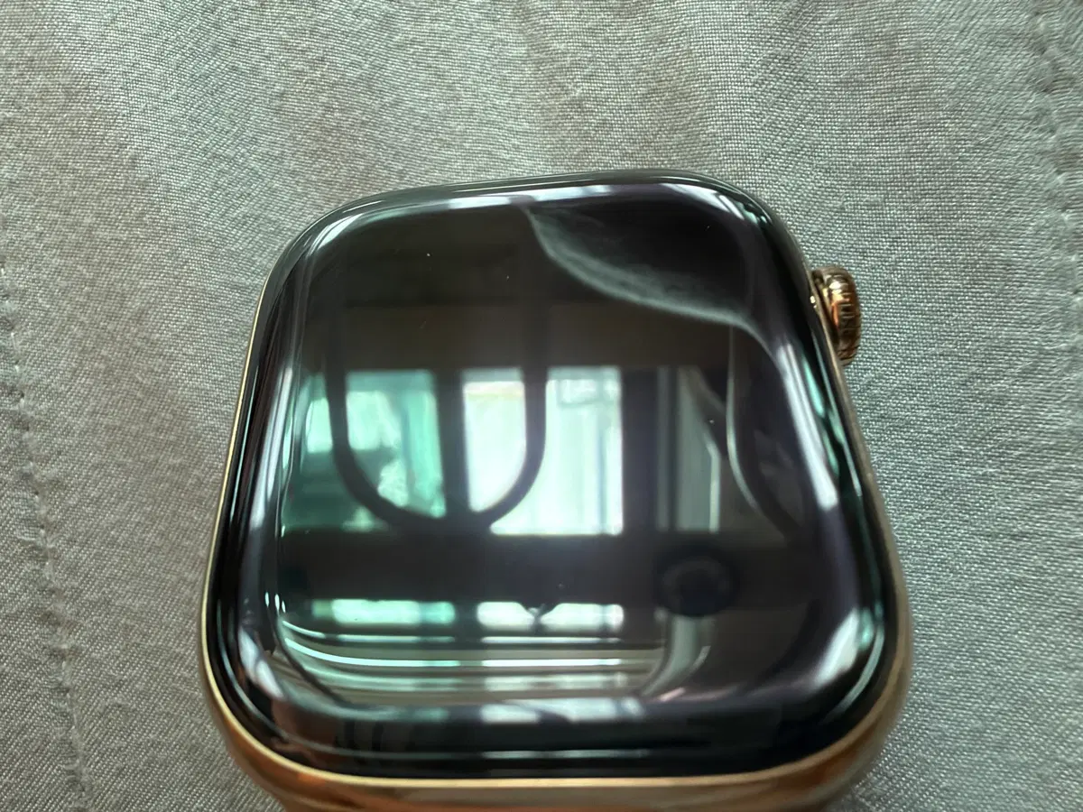 애플워치 10 골드 티타늄 46mm