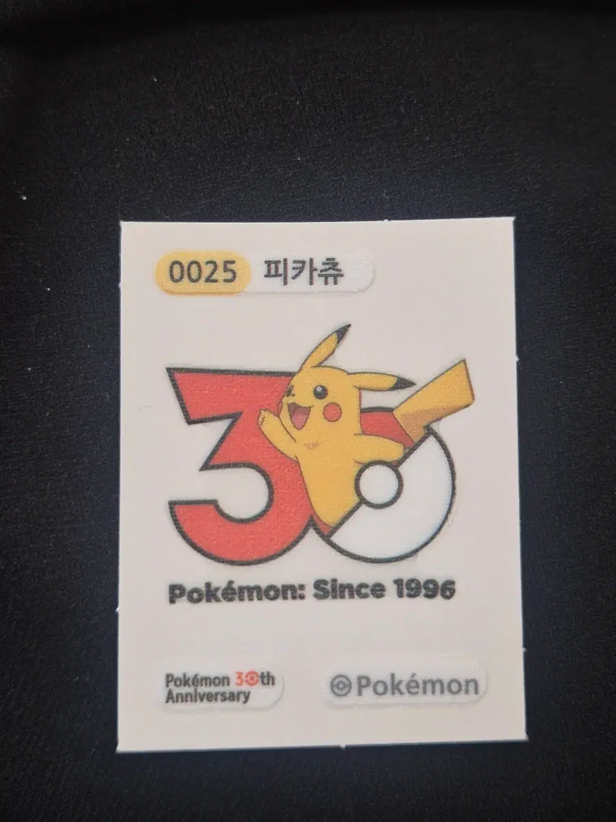피카츄 30주년 띠부실