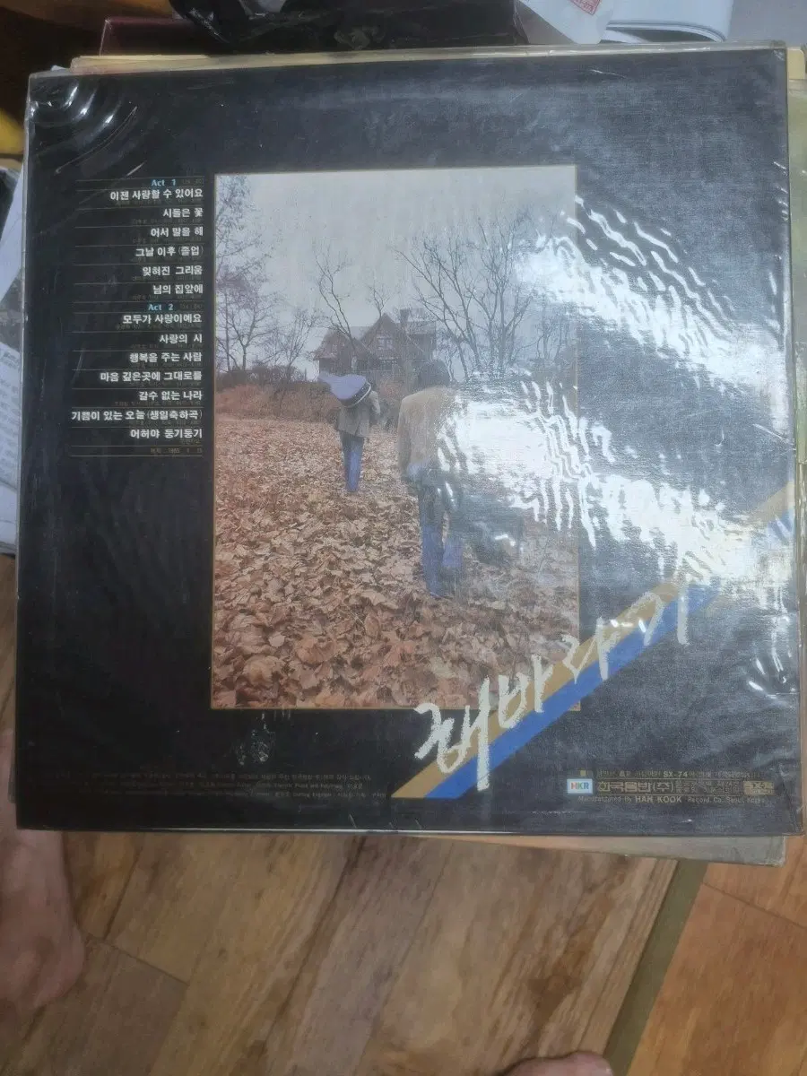 해바라기lp