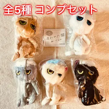 [전 5종 컴프 세트] 씻은 고양이 봉제 인형