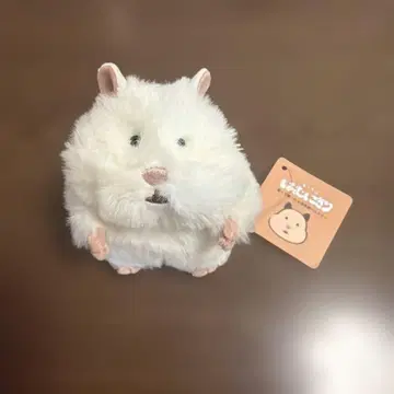 리브하트 하무니기리 오모치