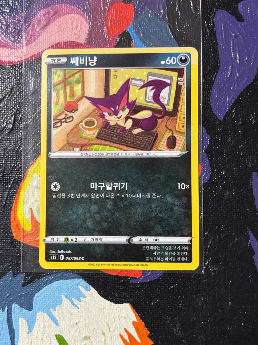 포켓몬스터 쌔비냥s12 포켓몬 카드 인테리어 소품 꾸미기용 포장용