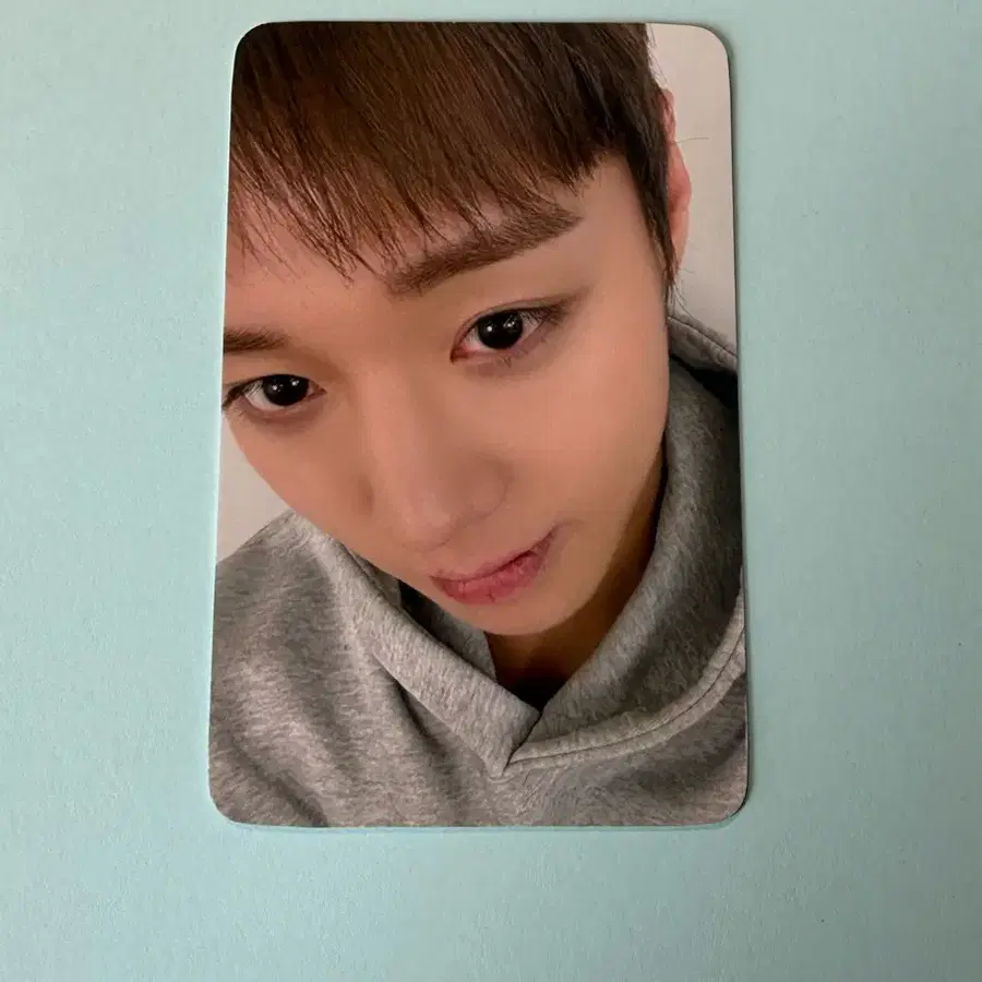 박지훈 리플렉트 팝업 MD 콜렉트북 포카