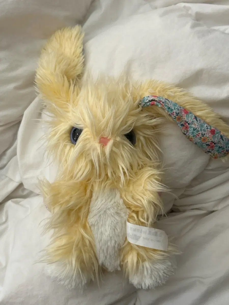 토끼 인형