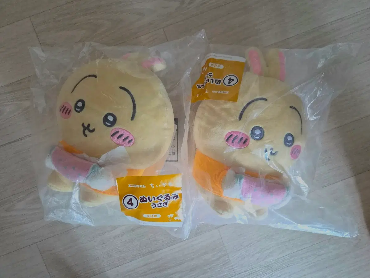 먼작귀 우사기 여름 쿠지
