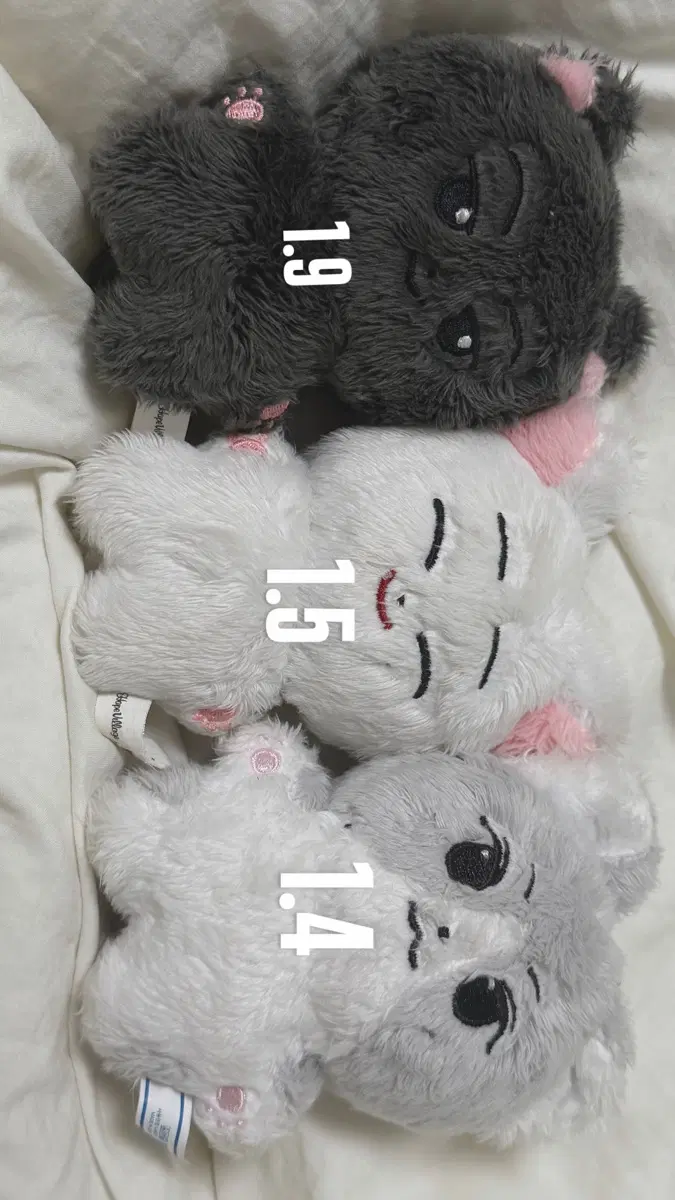 엔하이픈 제이 선우 정원 인형 미국냥 냥쭈고 한국폭