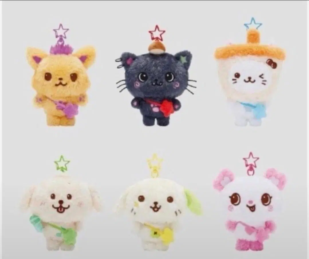 구함) 위시돌 일괄 구함